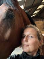 ≥ Vind paardencoaching op Marktplaats