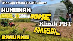 Agribisnis perikanan air tawar, 8, 8, 19, 6, 11, 13, 0, 0, 38, 27, 65. Nunukan Menuju Pusat Hortikultura Bantuan Dpkp Kaltara Dome Klinik Pht Bangsal Dan Bawang Youtube