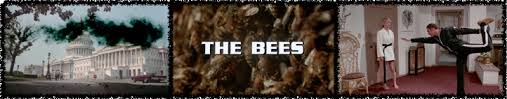 Discover the incredible story of hope and hardship with the #killerbeesmovie | now streaming 🏀 🎬 a brothers cummings film 🏆 ny times critic's pick linktr.ee/killerbeesmovie. Senseless Cinema I Know You No Like Devil Bee The Bees 1978