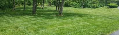 You have ridiculously high standards. Caldwell Lawn Care