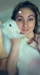 Vet recommendations near McCormick, SC area