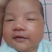 sabi ko nextmonth jan ako mag papasko ang aga pa ate ;( wag muna . Ba't  ngayon pa. Sana nag extend pa Sana ako na lang. kaya pala pag uwi ko kagabi