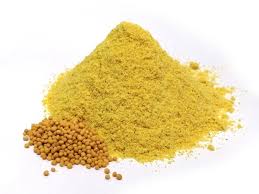 SEMILLAS DE MOSTAZA MOLIDA X 100G