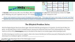 An organism of genotype aabb can make gametes of all the following kinds except 8. Amoeba Sisters Dihybrid Crosses Recap Ms P Teach Me Youtube