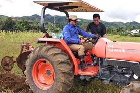 Kulite ireng kenek sinar matahari. Contoh Gambar Mewarnai Gambar Petani Di Sawah Kataucap