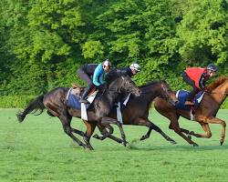 Image de Cavalière jockey