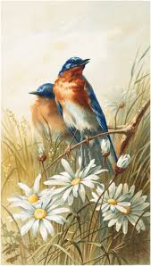 See more ideas about blue bird, bird art, beautiful birds. 12 Bluebird Images Gorgeous The Graphics Fairy
