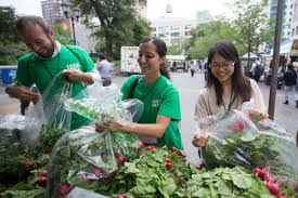 city harvest alleviates hunger with the