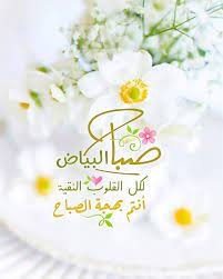 pin by amr el shimy on صباح الخير good morning good morning roses good morning flowers good morning photos