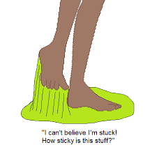 Trail path in frosty day 2 (sticky wet snow covered trees and trail). Nessa S Sticky Situation By Chipmunkraccoonoz On Deviantart