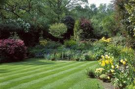 We did not find results for: How To Start A Lawn From Seed