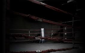 Search free boxing wallpapers on zedge and personalize your phone to suit you. Muay Thai Wallpapers Muay Thai Ring Background 1920x1200 Wallpaper Teahub Io