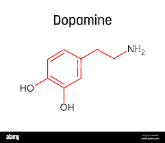 Image result for Dopamine