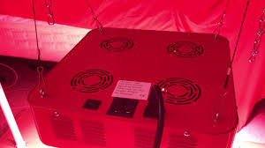 What's the warranty on a cob grow light? The Cob Led Grow Light Explained And Reviewed