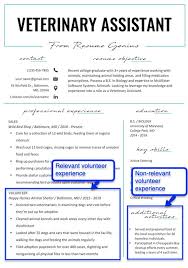 A well organized team player that is quite proficient in all tasks assigned. How To Put Volunteer Work On Your Resume Veterinary Assistant Volunteer Experience Example Resume Templates