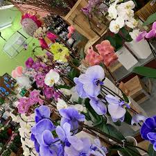 Maybe you would like to learn more about one of these? Photos At Jewel Osco Des Plaines Il