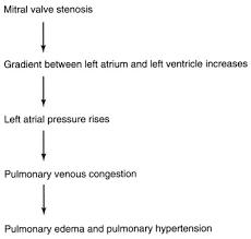 Possible causes, signs and symptoms, standard treatment options and means of care and support. Mitral Stenosis Anesthesia Key