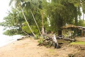Lot 978, jalan kuala linggi kg. D Qnut Chalet Restaurant Pantai Kuala Linggi Melaka Chalet Kontena Style Some Bullet For Your Head