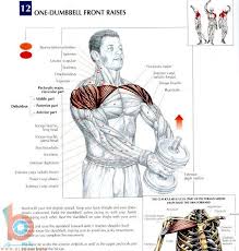 تمارين عضلات الظهر12 Gym Workouts Bodybuilding Workouts Shoulder Workout
