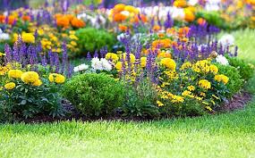 Maybe you would like to learn more about one of these? Landscape Contractors In Mandeville Louisiana And Covington