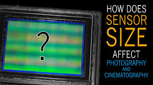 How Does Camera Sensor Size Impact Cinematography And Photography