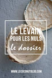Epingle Sur Levain Naturel Et Recettes