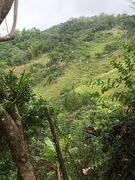 East of caguas and cayey; Pin On Puerto Rico