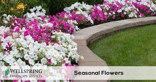 We did not find results for: Seasonal Flower Installation Wellspring Landscape Services