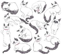 Cat Folha De Design De Personagem Inspiracao De Design De Personagens Folha De Modelo De Personagem Desenhos De Gatos Esbocos De Animais Pose De Gato