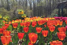 Check spelling or type a new query. 10 Reasons To Visit Brookside Gardens In Wheaton Md Mommypoppins Things To Do In Washington Dc With Kids