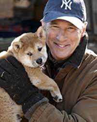 A dog's tale izle, hachiko: Kinotipp Hachiko Gala De