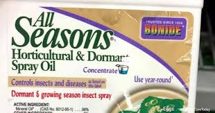 The oil kills insects and eggs as well as disease spores on deciduous fruit trees. What Is Dormant Oil And How Do You Use It