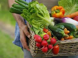 L Alimentation Bio
