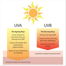 Treat as hazardous waste accuses sunscreens of all manner of evils, everything from causing infertility to destroying coral reefs. Sunscreen Antioxidants Your Sun Protection Power Players Mw Fp Com