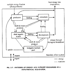 Energy Flow Processes Operation And Energy Flow In