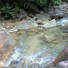 Air terjun way lalaan terletak di kaki gunung tanggamus dan merupakan air terjun bertingkat dengan jarak kurang lebih 200 m. Fotos Bei Air Terjun Hutan Lipur Gunung Pulai 2 4 Tipps