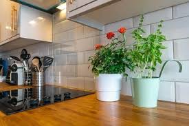 How to decorate kitchen cabinets tops. Plants To Decorate Kitchen Cabinet Tops The Home Blog