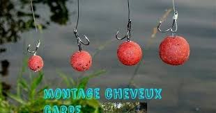 Tuto Montage Cheveux Carpe Carpe Montage Tuto Montage Carpe
