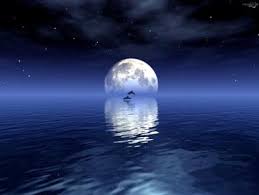 عبد الله المأمون بن هارون الرشيد ولد سنة 170 هـ 786 م في اليوم الذي ولي فيه والده الخلافة ، وكانت أمه فارسية اسمها مراجل وقد ماتت في نفاسها به. ØµØ­ÙŠÙØ© Ø§Ù„Ø£ÙŠØ§Ù… Ø¹Ø¨Ø¯Ø§Ù„Ø¨Ø§Ø±ÙŠ Ø·Ø§Ù‡Ø± ÙØ®Ø§Ù…Ø© Ø§Ù„Ù…Ø«Ù‚Ù Ø¬Ù„Ø§Ù„Ø© Ø§Ù„Ø¥Ù†Ø³Ø§Ù†