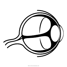 An eye for an eye. Eyeball Coloring Page Ultra Coloring Pages