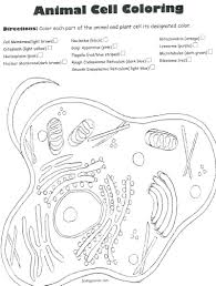 We did not find results for: Animal And Plant Cell Coloring Pages Coloring Home