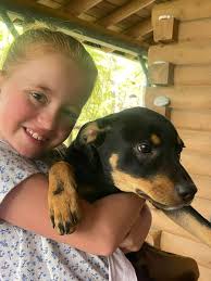 Jake, my former sponsor pup from TOHAS, is now at Forgotten Friends of Long  Island (516 719-0808) waiting for his forever home. He is 3 years old, and  very loving. He went