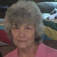 Pamela Doy Lively Obituary (2024)