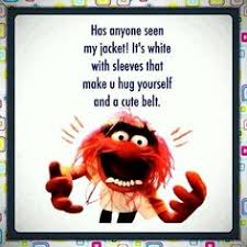 Famous Muppet Quotes. QuotesGram via Relatably.com