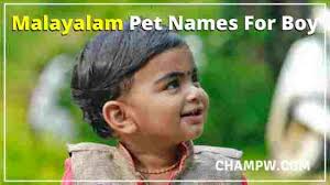 Technicalfreefiregamingpool free fire pet panda panda pet bery easy trick and good you never see this trick. 1500 Unique Pet Names For Boys Ideas You Need In 2020 Marijuanapy The World News