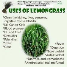 Our apps are nice too! Lemon Grass Plant Benefits In Tamil Lawn Leveling Rake