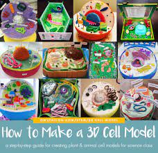 Maya + fbx obj oth. How To Create 3d Plant Cell And Animal Cell Models For Science Class Owlcation