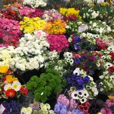 Maybe you would like to learn more about one of these? Covid 19 S Impact On Wholesale Florists Florists Review