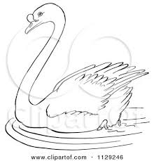 Baby Swan Clipart Black And White Cartoon Clipart Of An Outlined Swimming Swan Black And White Vector Coloring Page By Picsburg Black And White Cartoon Cartoon Clip Art Coloring Pages