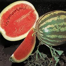 Crimson sweet watermelon is a delicious melon with bright red flesh. Crimson Sweet Watermelon Watermelon Jung Seed Company